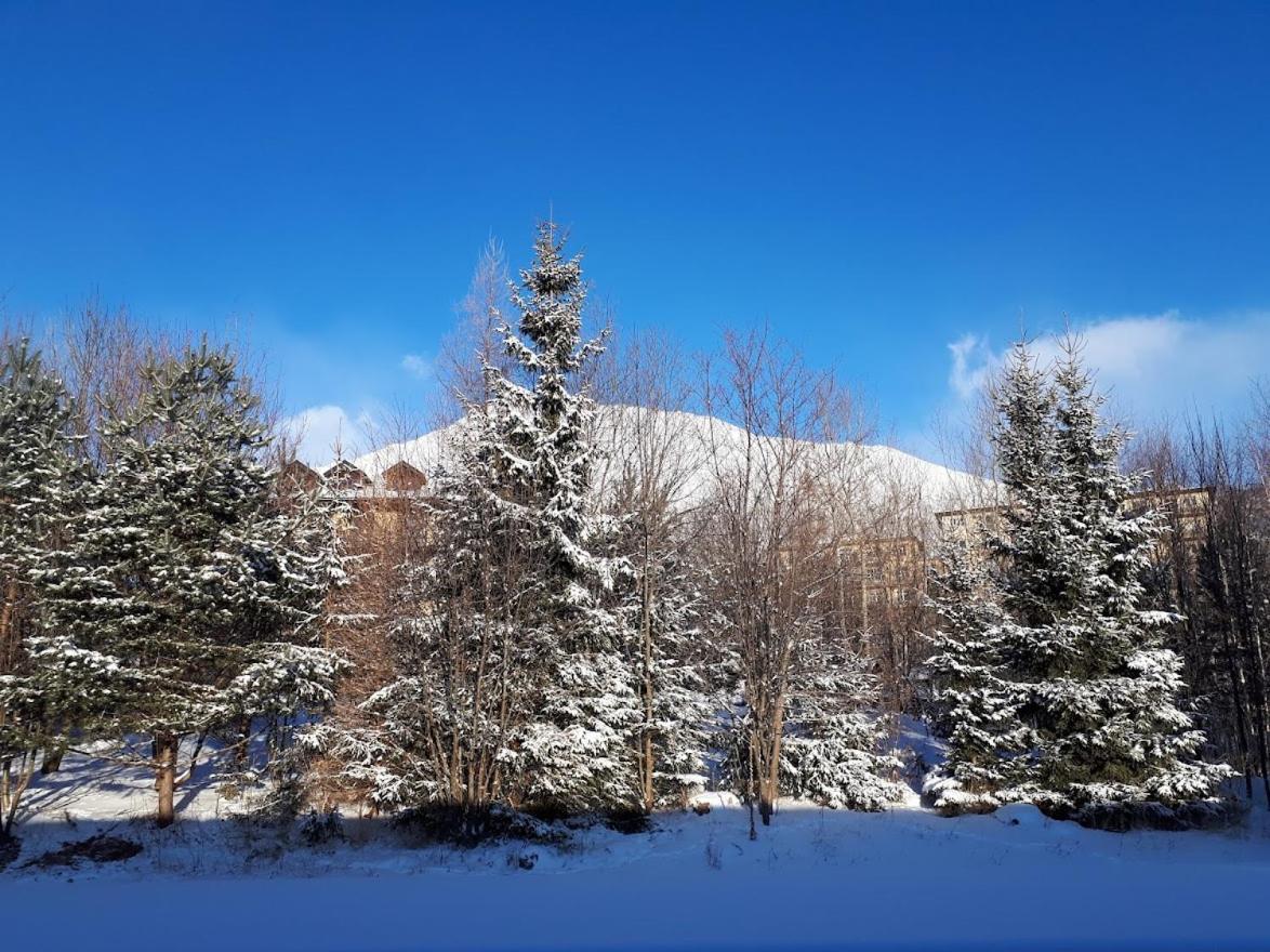 Apartman Mariana Vysoké Tatry Extérieur photo