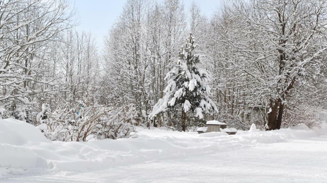 Apartman Mariana Vysoké Tatry Extérieur photo